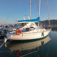 Barca a vela Alpa 8.25