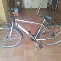 Bicicletta city bike uomo nera e argento 