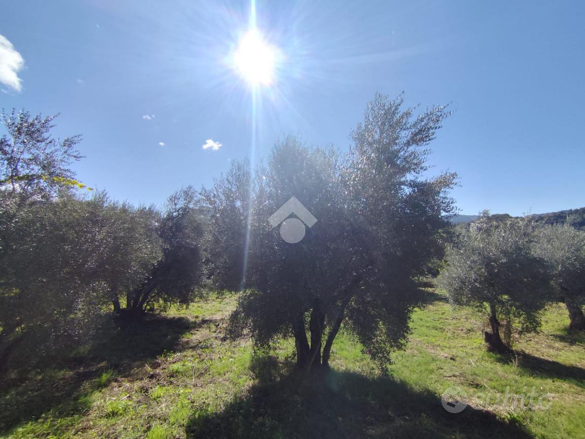 RUSTICO A SUBIACO - Altro