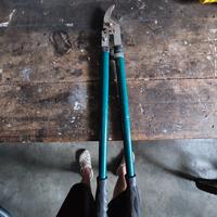 Attrezzi (cesoia, chiavi e lime).