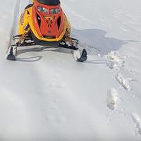 motoslitta ski doo 800 mxz 