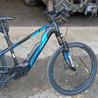 mountain bike elettrica