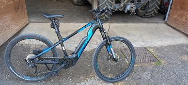 mountain bike elettrica