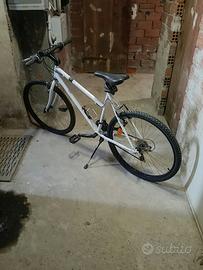 Bicicletta da donna bianca
