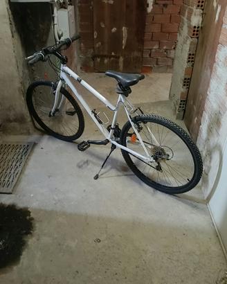 Bicicletta da donna bianca