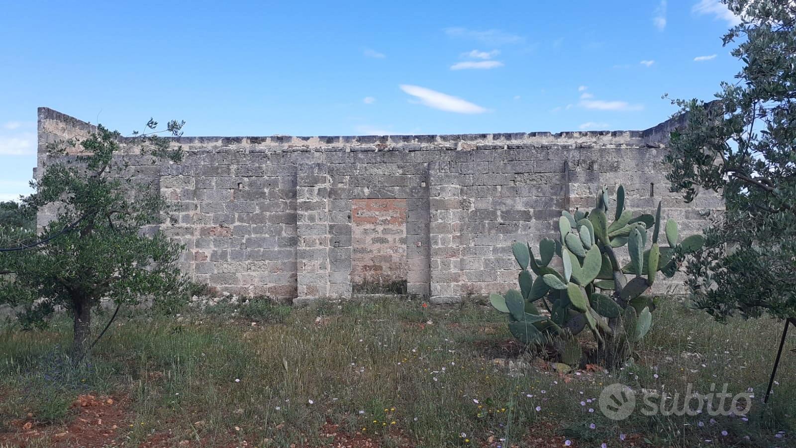 Oliveto di 3 ettari con progetto per costruire - Vista 2