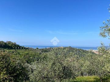 TER. AGRICOLO A LAVAGNA