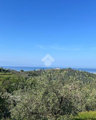 TER. AGRICOLO A LAVAGNA