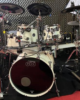 DW - PERFORMANCE SERIES