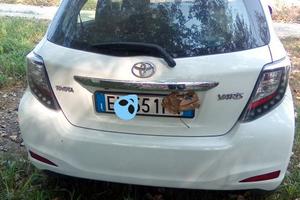 unico proprietario   revisione   ok