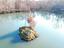Immagine 28
