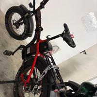 Bicicletta Elettrica Armony Asso