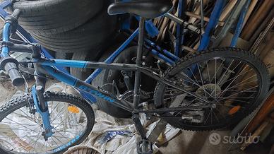 Bicicletta montanbike