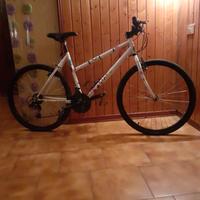 bici mtb da donna