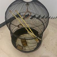 Gabbia per uccelli