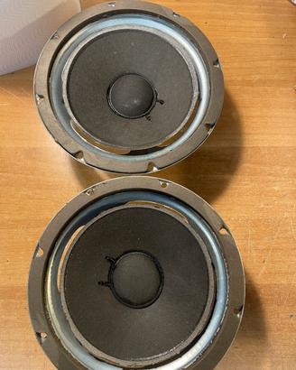 Coppia woofer bose