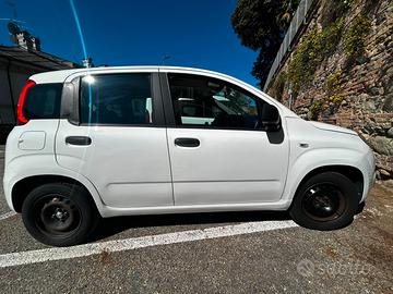 Fiat Panda 1.2 69cv Lounge - 2017 - 52.000 km