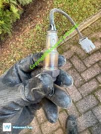 Sonda Lambda Lancia Ypsilon anno 2011 Fi