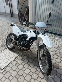 Beta rr 50