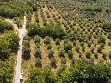Terreno di 3770 m² a Poggio Nativo