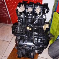 motore Triumph Speed 