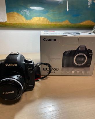 Canon EOS 5D Mark II + 50mm f/1.8 + Flash 580EX II