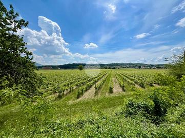 TER. AGRICOLO A CAPRINO VERONESE