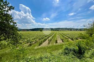 TER. AGRICOLO A CAPRINO VERONESE
