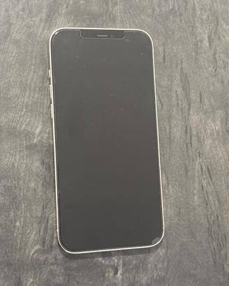 iPhone 12 Pro Max 256 gb Bianco
