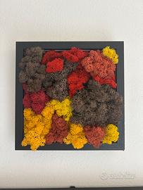 Esplosione d’ autunno- rosso, giallo ed arancio