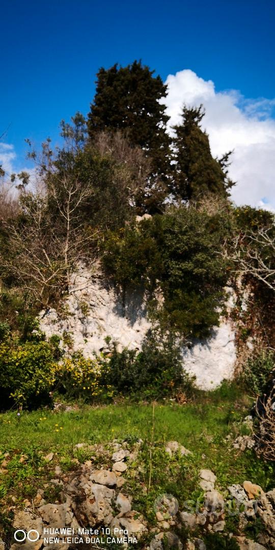 Terreno e pajara - Vista 2