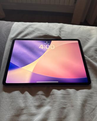 iPad Pro 11” 4ª Generazione-256gb + Mouse