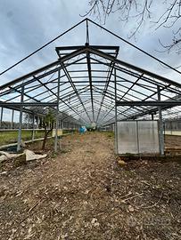 Serra fissa per vetri