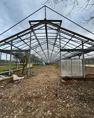 Serra fissa per vetri