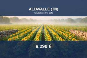 Immobile in asta di 3827 m² a Altavalle