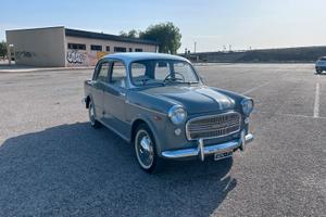 Fiat 1100-103 d