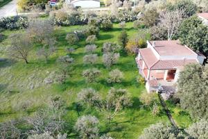 Indipendente con agibilità e 6000 mq di giardino