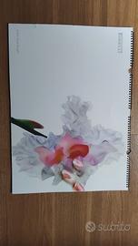 calendario pirelli 2004