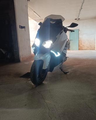 T max 530