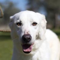 Ellen, timida e riservata vuole una chance a casa