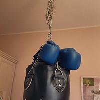 Sacco da box Pride 50 kg