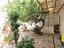 Immagine 20