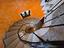 Immagine 28