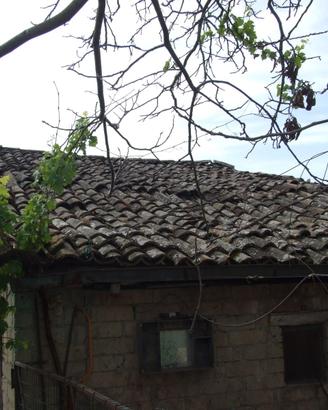 tegole