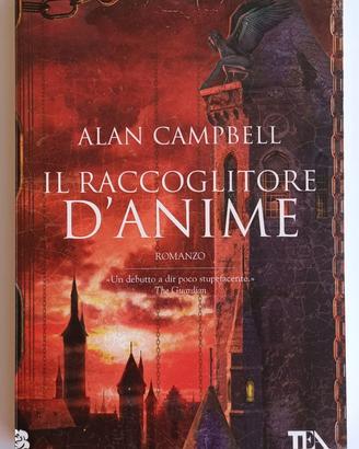 Il raccoglitore d'anime
