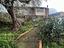 Immagine 23