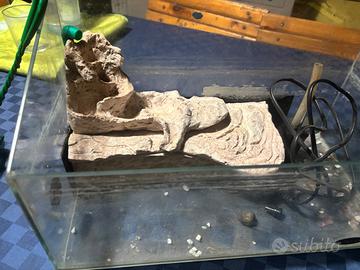 Acquario per tartarughe