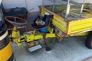 carrello trazionato grillo