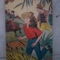 Il robinson svizzero - D. Wiss