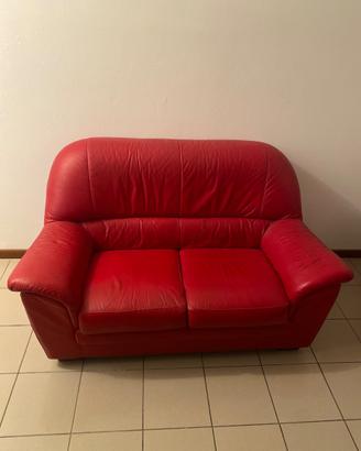 Divano in pelle 2 posti